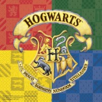 Papírové ubrousky L - Harry Potter - 20 ks - S93366

















