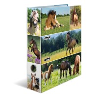 Pákový pořadač A4 ANIMALS - Koňská louka - 19251
 
