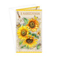 Blahopřání k 50. narozeninám - kapsa na peníze - 15-6575c50