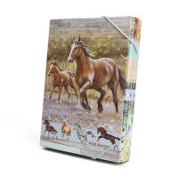 Box na sešity A4 - Wild horses - 1231-0414