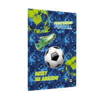 Desky na abecedu - Fotbal - 4-00026



 




















