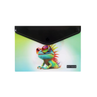 Desky s drukem A5 - Chameleon - 8-96426