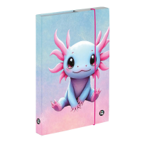 Box na sešity A4 - Axolotl - 3-75426























