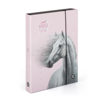Box na sešity A4 JUMBO - Kůň romantic - 5-71026 



















