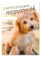 Hrací blahopřání - Přátelství na n-tou, Petr Novák - c001494