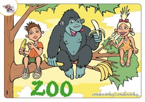 Omalovánky - ZOO - 1568