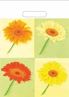 Taška L - Gerbera - 3762